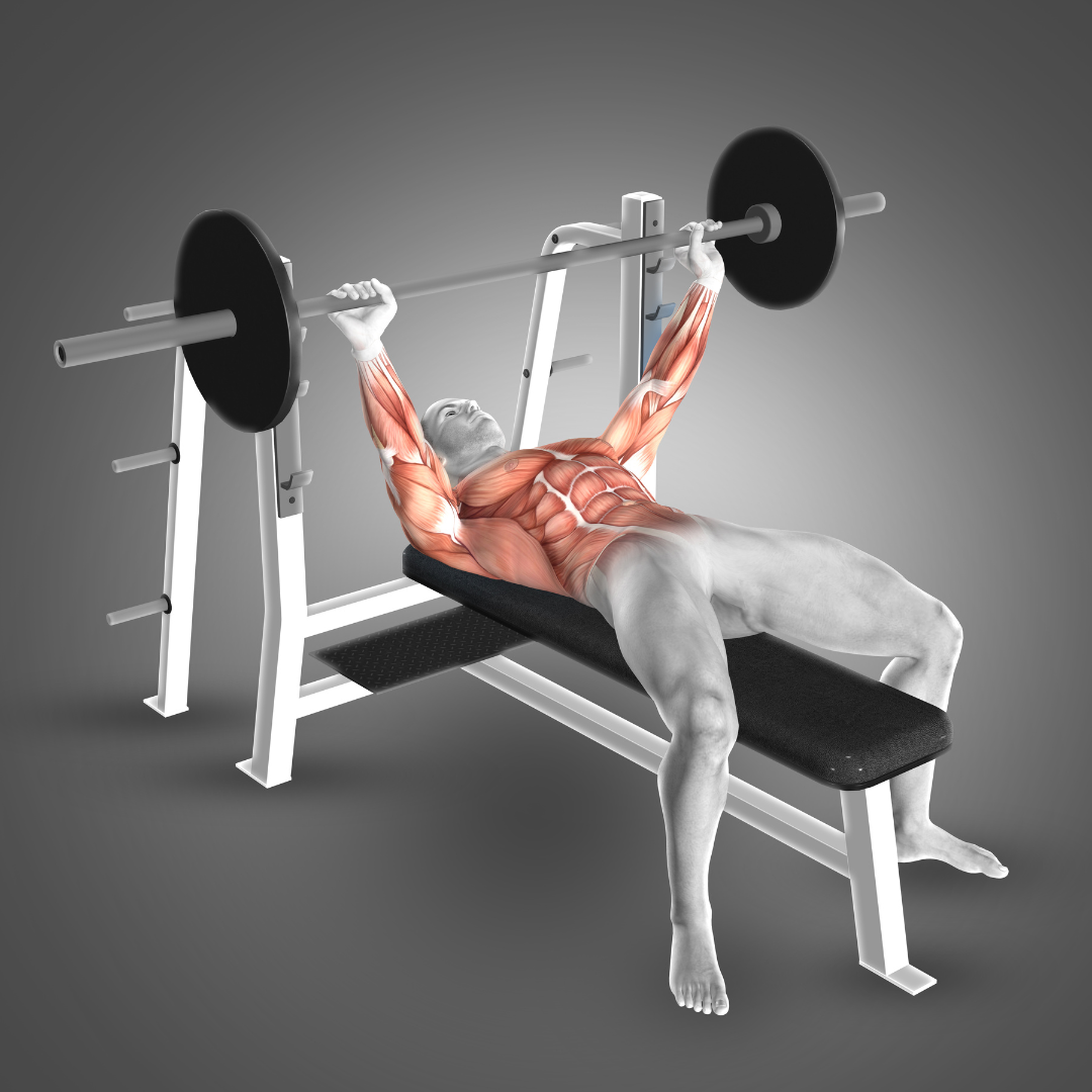 The Best Shoulder Press Machine: Your Complete Guide to Maximizing Shoulder Strength