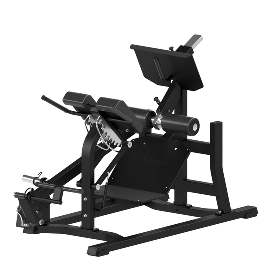 Anatomy Fitness Torgyn Multi Hip Extension Machine