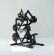 Anatomy Fitness TORGYN Multi Low Row