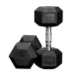 Anatomy Hex rubber coated dumbbell Pair