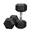 Anatomy Hex rubber coated dumbbell Pair