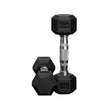 Anatomy Hex rubber coated dumbbell Pair