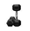 Anatomy Hex rubber coated dumbbell Pair