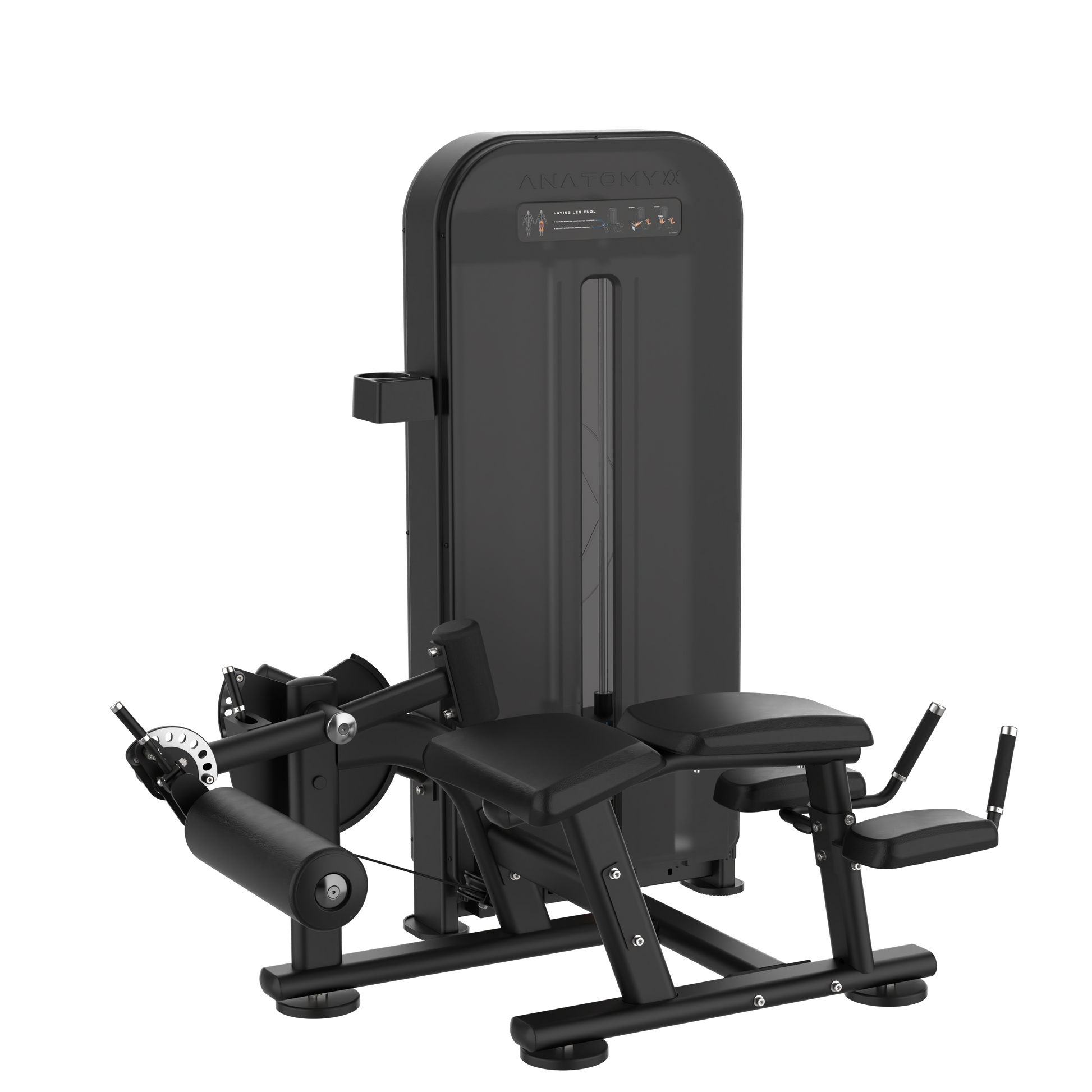 ANATOMY FITNESS FLEXORA LAYING LEG CURL