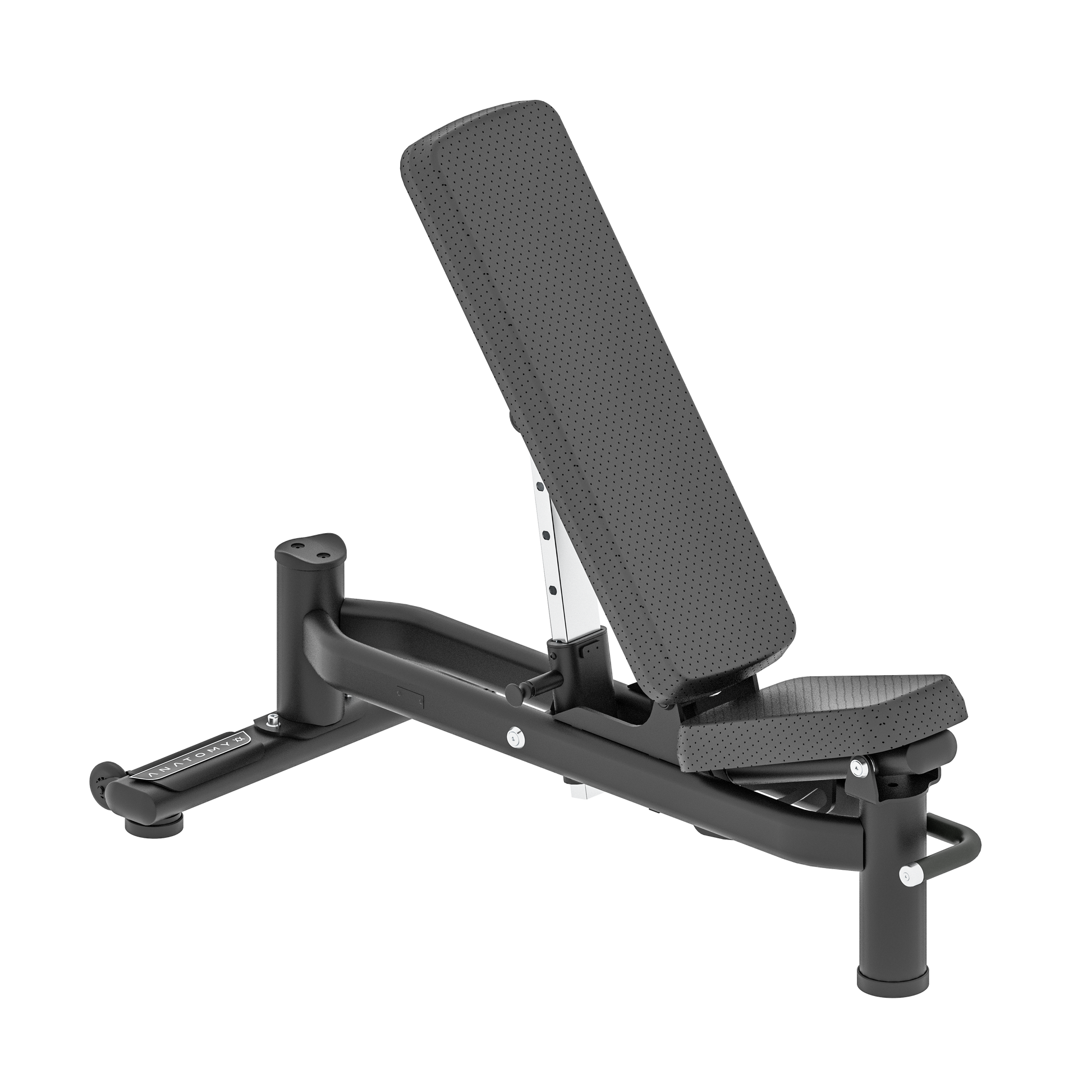 Anatomy Adjustable Bench