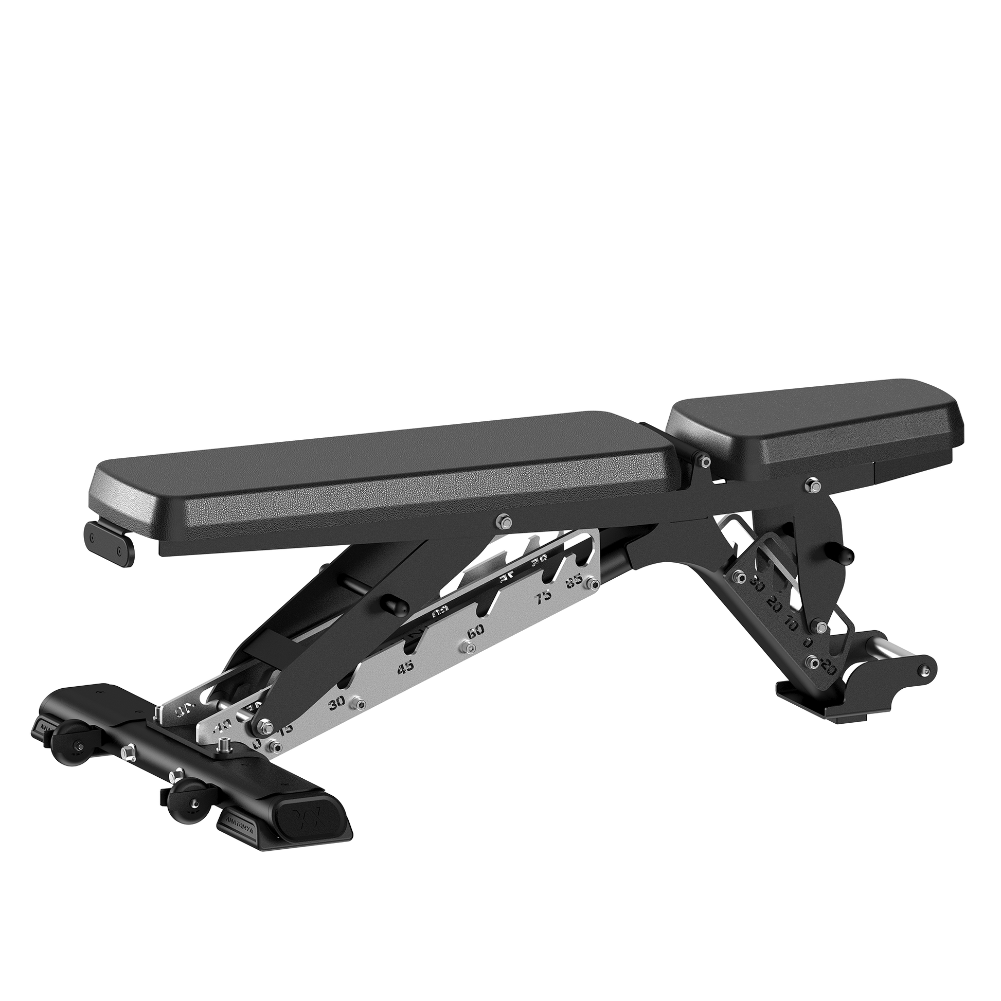 ANATOMY FITNESS ADJUSTABLE BENCH