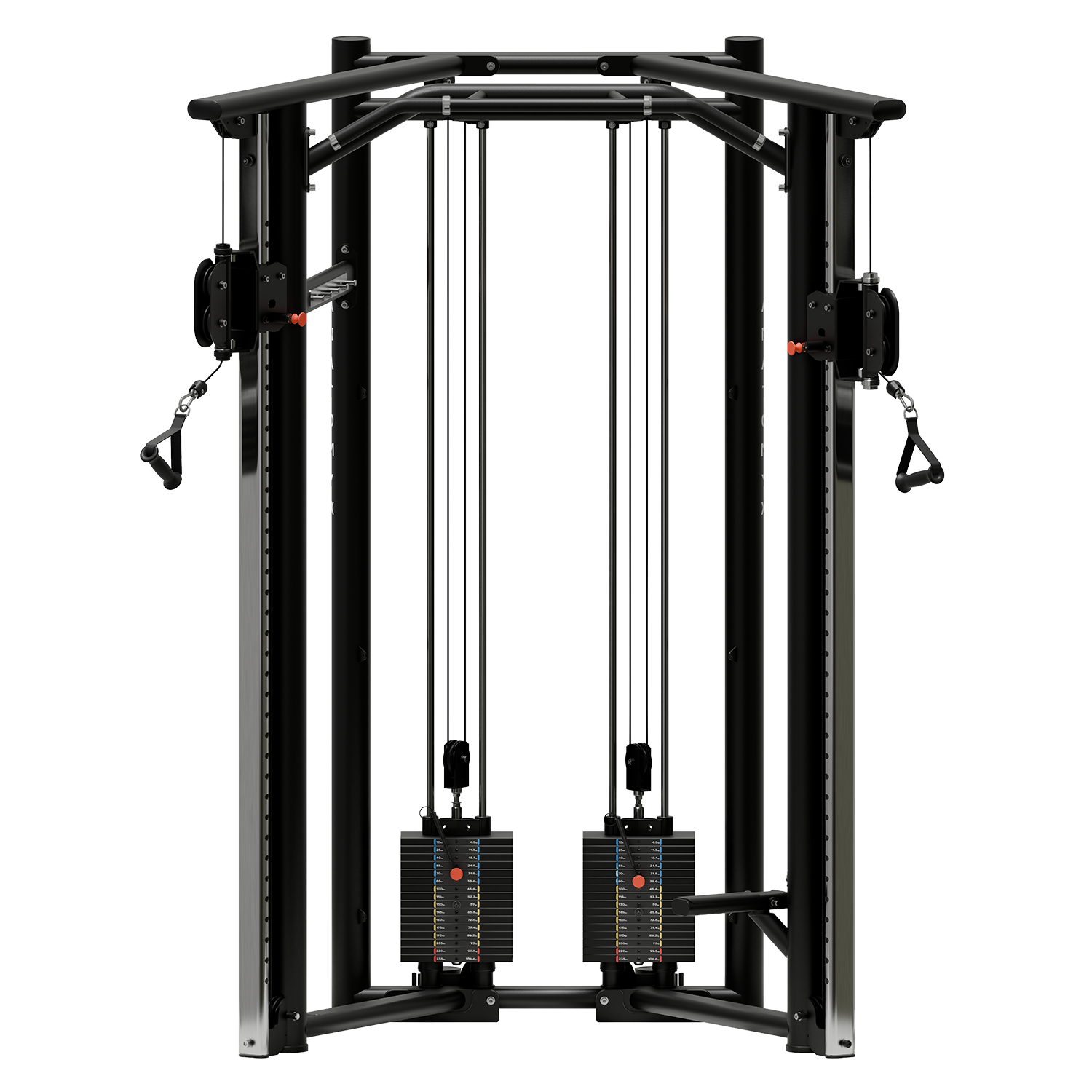 Anatomy Functional Trainer